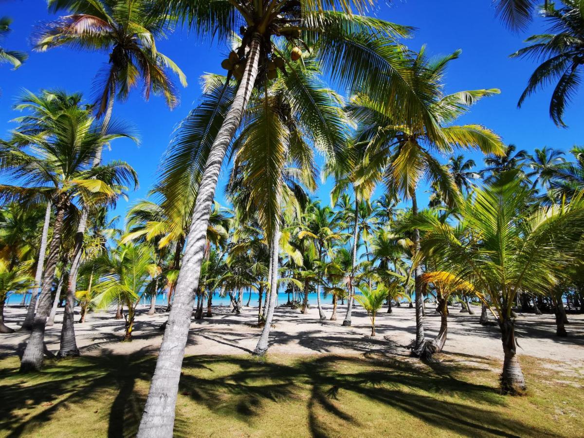 Hotel Playa Mandala Palomino Zewnętrze zdjęcie
