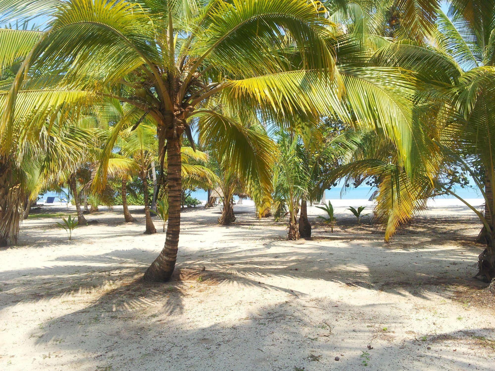 Hotel Playa Mandala Palomino Zewnętrze zdjęcie