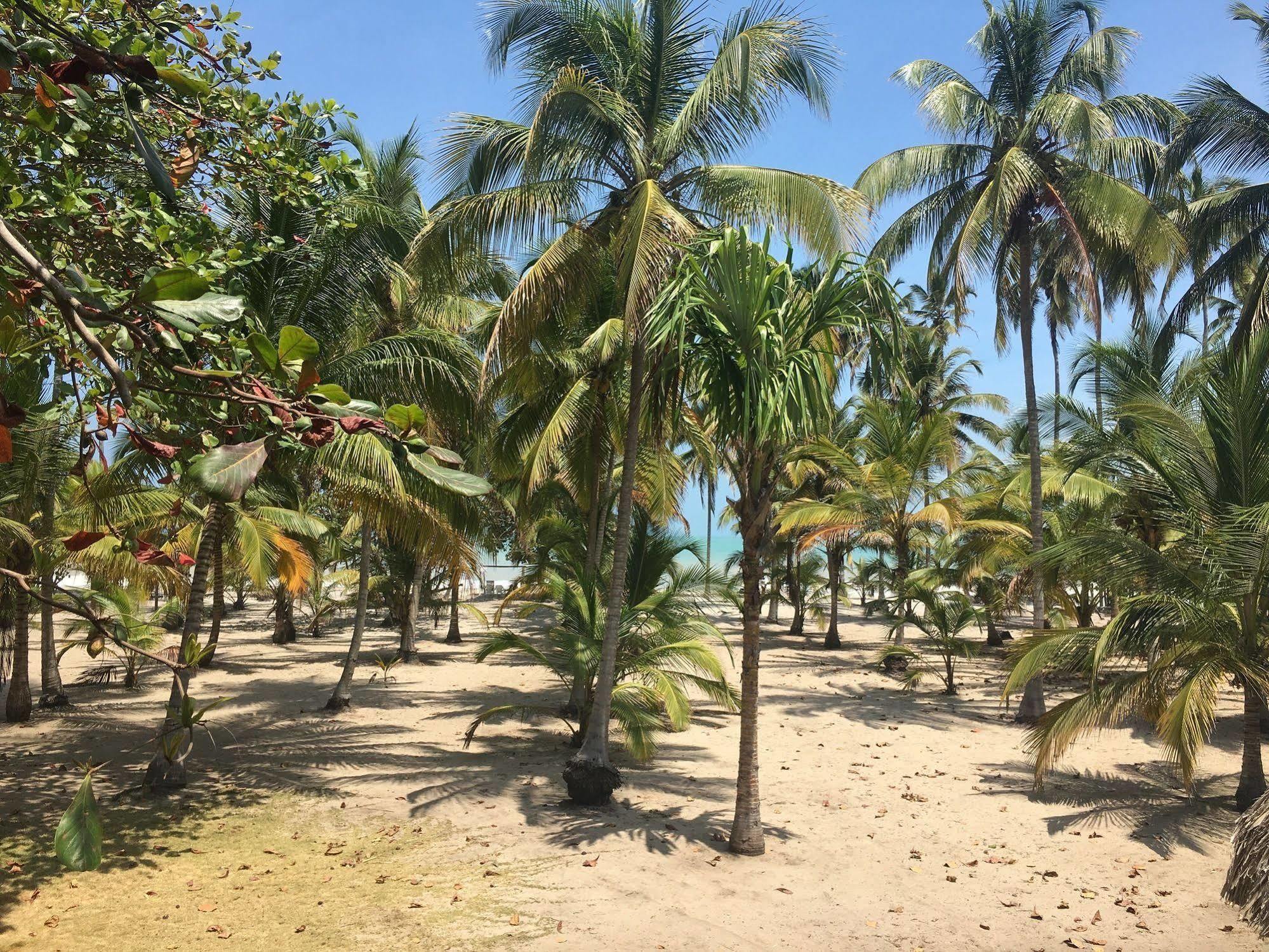 Hotel Playa Mandala Palomino Zewnętrze zdjęcie